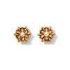 Online The Met Store French Amor Stud Earrings