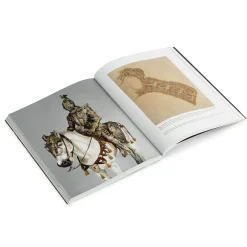 Best The Met Store How to Read European Armor