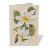 Online The Met Store Studies of Magnolias Quilled Card